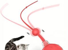 $6.99 – Zonopy Interactive Cat Ball Toy with 3 Modes & ON/Off Sound (Various)
