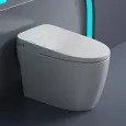 $237.00 – Glendan Smart Toilet with Auto Flush, Heated Seat