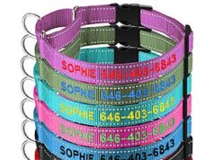 $7.00 – Personalized Martingale Dog Collar-Reflective Martingale Collars with Buckle, $7 AC FS Prime Amazon Personalized Reflective Martingale Collar for dogs with a buckle