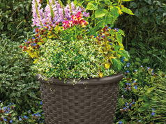$38.99 – Suncast Indoor/Outdoor Lightweight Resin Wicker Design Flower Planters: 2-Piece Set