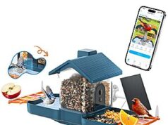 $39.99 – Navfs Dual-Lens Solar Powered Bird Feeder and Bird Bath with 2K HD Video, AI Identification, Instant Alerts