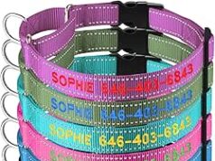 $6.99 – Personalized Dog Collar with Reflective Stitching