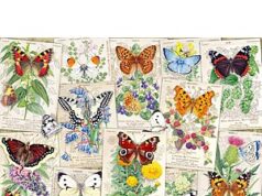 $4.52 – 1000-Piece Wonder Forge Butterfly Splendor Jigsaw Puzzle + Free Shipping w/ Prime or on $35+ 1000-Piece Wonder Forge Butterfly Splendor Jigsaw Puzzle