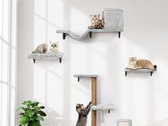 $34.99 – 5-in-1 ZLAFM Space-Saving Multi-Level Cat Climbing Wall Mounted Shelves + Free Shipping w/ Prime or on $35+ 5-in-1 ZLAFM Space-Saving Multi-Level Cat Climbing Wall Mounted Shelves + Free Shipping w/ Prime or