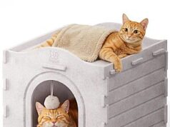 $15.00 – Apasiri Felt Indoor Cat Bed / Cave $15 @ Amazon Apasiri Felt Indoor Cat Bed / Cave on Amazon