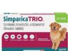 $20.00 – Chewy: $20 Off $49+ Orders of Select Pet Pharmacy Medications + Free Shipping Chewy Pharmacy pet medications