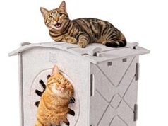 $11.99 – Apasiri Indoor Scratch-Resistant Felt Cat House from + Free Shipping w/ Prime or on $35+ Apasiri Indoor Scratch-Resistant Felt Cat House