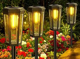 6-Pack KINKAI Solar LED Pathway Lights in warm light