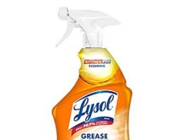 22-Ounce Lysol Pro Kitchen Antibacterial Cleaner & Degreaser Spray (Citrus) on Amazon