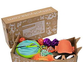 15-Piece Kitty City Deluxe Cat Toy Box Set for sale at Walmart