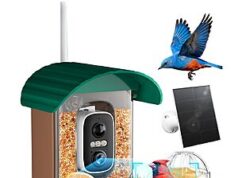$24.99 – : NIORSUN Smart Bird Feeder – Solar Powered, 2K HD Video, AI Recognition, Night Vision, Green at Amazon : NIORSUN Smart Bird Feeder – Solar Powered, 2K HD Video, AI Recognition, Night Vision, Green at Ama
