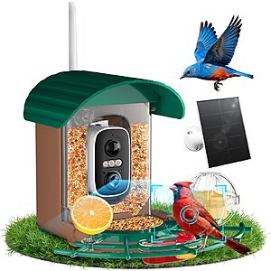 deal-797 : NIORSUN Smart Bird Feeder – Solar Powered, 2K HD Video, AI Recognition, Night Vision, Green at Ama