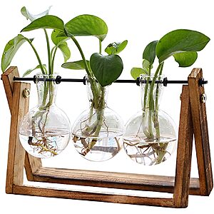 Deal on XXXFlower 3-Bulb Vase Plant Terrarium Air Planter with Wooden Stand at Amazon XXXFlower 3-Bulb Vase Plant Terrarium Air Planter with Wooden Stand