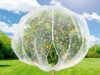 $14.99 – Amazon – 7.8 x 7.8 ft Large Fruit Tree Netting Cover with Zipper and Drawstring Amazon Large Fruit Tree Netting Cover