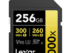 $124.99 – Lexar 256GB Professional 2000x (Gold) UHS-II V90 SDXC Memory Card lexar 256gb professional 2000x product image