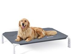 $19.38 – ZOMISIA Elevated Waterproof Teslin Mesh Dog Cot Bed: Thumb Score: +9 ZOMISIA Elevated Waterproof Teslin Mesh Dog Cot Bed