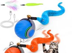 $8.49 – 2-Pack Mity rain 2-Speed Interactive Cat Self Rolling Ball Toy + Free Shipping w/ Prime or on $35+ 2-Pack Mity Rain Interactive Cat Self Rolling Ball Toy