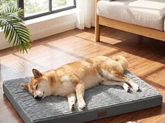 $17.99 – 35″x22″ Bedsure ComfyFleece Orthopedic Large Dog Bed w/ Removable Washable Cover (Charcoal Grey) – + Free Shipping w/ Prime or on $35+ Bedsure ComfyFleece Orthopedic Large Dog Bed in Charcoal Grey