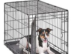 $18.94 – MidWest Homes for Pets 30″ Single Door Folding Dog Crate w/ Divider Panel (Medium Breeds) + Free Shipping MidWest Homes for Pets 30" Single Door Folding Dog Crate w/ Divider Panel (Medium Breeds) + Free Sh