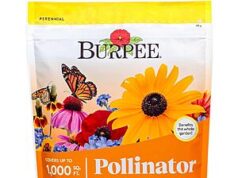 $2.86 – Burpee Wildflower Pollinator Mix Seeds, 25,000 Non-GMO (18 Varieties) – Lowest Price Ever at Amazon Burpee Wildflower Pollinator Mix Seeds in a seed packet