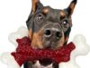$4.99 – Kseroo 4″ x 7.5″ Nylon Large Dog Chew Toy (Beef Flavor) + Free Shipping w/ Prime or on $35+ kseroo nylon large dog product image