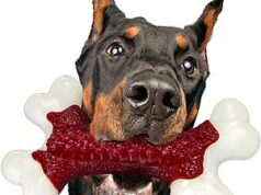 $4.99 – Kseroo 4″ x 7.5″ Nylon Large Dog Chew Toy (Beef Flavor) + Free Shipping w/ Prime or on $35+ kseroo nylon large dog product image