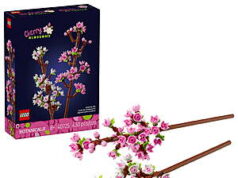 $8.13 – 438-Piece LEGO Botanicals: Botanical Collection Cherry Blossoms (40725, 2024) – + Free S&H w/ Walmart+ or on $35+ 438-Piece LEGO Botanicals: Botanical Collection Cherry Blossoms set