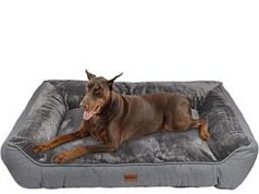 $29.99 – Zakapaws Extra Thick Orthpedic Dog Bed for Extra Large Dogs (48″L x 35″W x 11″H, 2 colors) from + Free Shipping Zakapaws Extra Thick Orthpedic Dog Bed for Extra Large Dogs (48"L x 35"W x 11"H, 2 colors) from + F