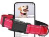 $4.99 – Pawduct Personalized Reflective Dog Collar w/ QR Code Tag (various, XS-L) + Free Shipping w/ Prime or on $35+ Pawduct Personalized Reflective Dog Collar w/ QR Code Tag (various, XS-L) + Free Shipping w/ Prime