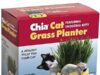 $10.99 – | Chia Pet Kitty Cat Grass, Decorative Pottery Planter at Amazon | Chia Pet Kitty Cat Grass, Decorative Pottery Planter at Amazon