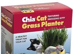 $10.99 – | Chia Pet Kitty Cat Grass, Decorative Pottery Planter at Amazon | Chia Pet Kitty Cat Grass, Decorative Pottery Planter at Amazon