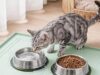 $8.99 – 22″ x 19″ Aisslro Silicone Pet Feeding Mat w/ Raised Edges (2 Colors) + Free Shipping w/ Prime or on $35+ 22" x 19" Aisslro Silicone Pet Feeding Mat w/ Raised Edges (2 Colors) + Free Shipping w/ Prime or o