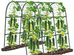 $18.49 – 47″x47″x22″ U-Shape Cucumber Trellis, Metal Plant Support with Net – Lowest Price Ever at Amazon 47x47x22 U-Shape Cucumber Trellis