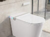 $517.65 – DeerValley Smart Toilet with Bidet, Heated Seat, Built-in Tank & Pump (DV-1S0360, Advanced) + Free Shipping deervalley smart toilet bidet product image