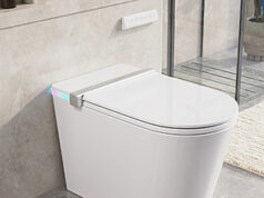 $517.65 – DeerValley Smart Toilet with Bidet, Heated Seat, Built-in Tank & Pump (DV-1S0360, Advanced) + Free Shipping deervalley smart toilet bidet product image