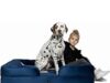 $54.16 – NOAH & PAW XL Orthopedic Dog Bed w/ Cooling Gel Memory Foam (Navy or Dk. Green) (45″ x 35″ x 11″) + Free Shipping NOAH & PAW XL Orthopedic Dog Bed with Cooling Gel Memory Foam