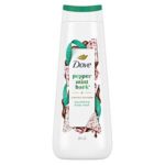 $3.99 – 20-Oz Dove Holiday Treats Body Wash (Peppermint) –  & More with S&S + Free Shipping w/ Prime or on $35+