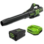 $97.99 – YMMV Greenworks 60V Electric Leaf Blower, 610 CFM, 2.5 Ah Battery and Charger