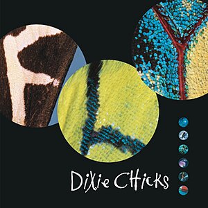 $22.00 – Dixie Chicks ‘Fly’ (Vinyl 2LP + MP3 Album) $22 + Free Shipping w/ Prime or on $35+