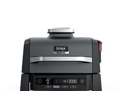 $289.99 – Ninja Woodfire Outdoor Grill & Smoker, 6-in-1 Functionality Ninja Woodfire Outdoor Grill & Smoker