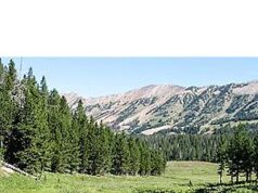 Free Tree – Subaru Loves the Earth A family planting a tree in their backyard