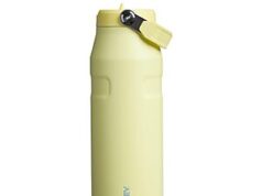 $22.50 – 36-Oz Stanley IceFlow Flip Straw 2.0 Bottle (Pomelo) 36-Oz Stanley IceFlow Flip Straw 2.0 Bottle in Pomelo color