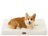 $18.98 – Cozy Kiss Large Rectangular Orthopedic Dog Crate Bed (Beige) – + Free Shipping Cozy Kiss Large Rectangular Orthopedic Dog Crate Bed in beige