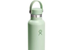 $12.24 – 21-Oz Hydro Flask Standard Mouth Insulated Stainless Steel Water Bottle (Aloe Green) + Free Shipping w/ Prime or on $35+ 21-Oz Hydro Flask Standard Mouth Insulated Stainless Steel Water Bottle (Aloe Green)