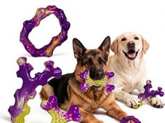 $12.99 – 6-Pack Frienhund Dog Toys for Aggressive Chewers (Double&Purple) + Free Shipping w/ Prime or on $35+ 6-Pack Frienhund Dog Toys in Double&Purple, Bacon Flavor