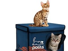 $21.44 – Polita All Seasons Weatherproof Heated Cat House (2 colors): Small (Dark Blue) , Medium (Dark Gray) $29.24 & More + Free Shipping Polita All Seasons Weatherproof Heated Cat House in dark blue and gray