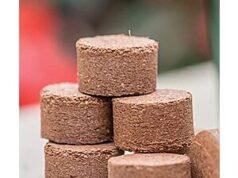 $3.97 – * | 72-ct 22.5-mm Burpee Coir Seed Starting Pellet at Amazon 72-ct Burpee Coir Seed Starting Pellet on sale at Amazon