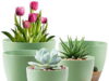 $14.99 – 5-Pack Foukus Self-Watering Plant Pots w/ Drainage (7″, 6.5″, 6″, 5.5″ & 5″) + F/S w/ Walmart+ or on Orders $35+ 5-Pack Foukus Self-Watering Plant Pots w/ Drainage (7", 6.5", 6", 5.5" & 5") + F/S w/ Walmart+ or o