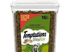 $6.64 – Temptations Cat Treats, Classic Crunchy and Soft Cat Treats, Catnip Fever Flavor, Catnip Treats, 16 oz. Tub – S&S on Amazon Temptations Cat Treats in a tub with a cat playing