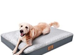 $19.99 – Sunheir Orthopedic Plush Large Dog Bed (Grey) – Amazon